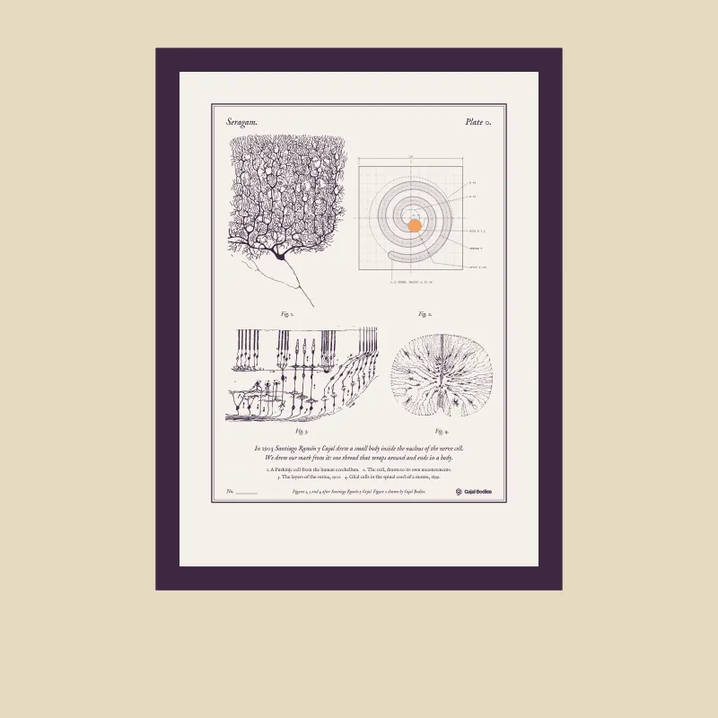 Plate 0 in a plum frame