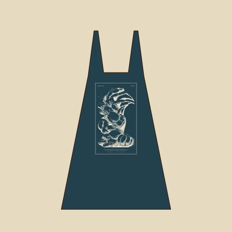 Back view sketch of a slip dress with Rumphius's crab in a narrow engraved frame